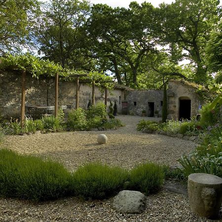 Casa Di Pietro In Vivo D'Orcia, Pool Villa Eksteriør bilde